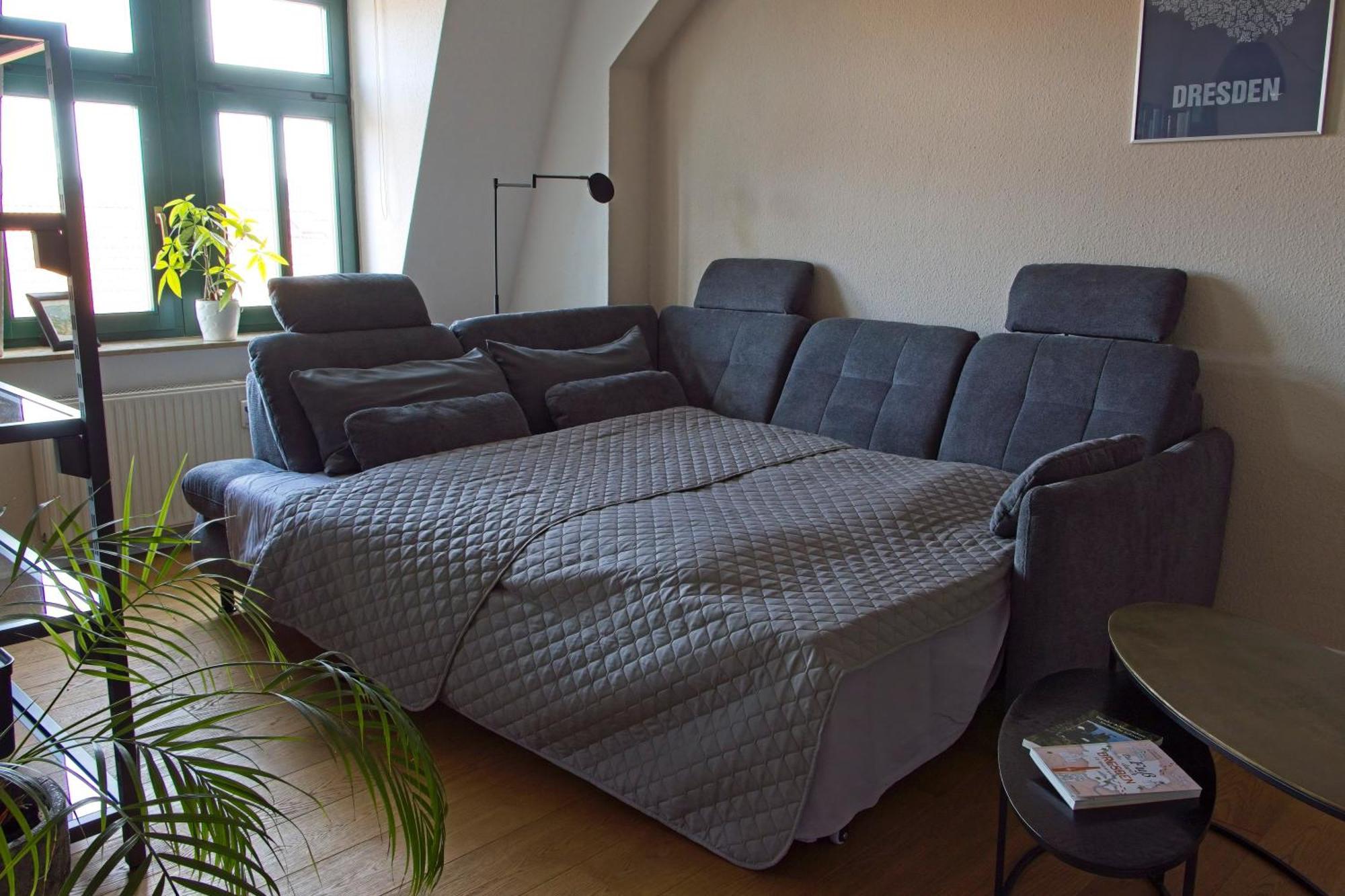 Neustadt-Aussicht - Grosse Wohnung Mit Balkon Drážďany Exteriér fotografie